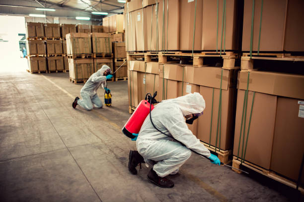 Best Ant Control Services  in Stonewood, WV