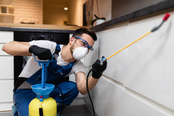 Best Cockroach Control Services  in Stonewood, WV